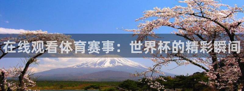 玩球直播ios版：在线观看体育赛事：世界杯的精彩瞬间