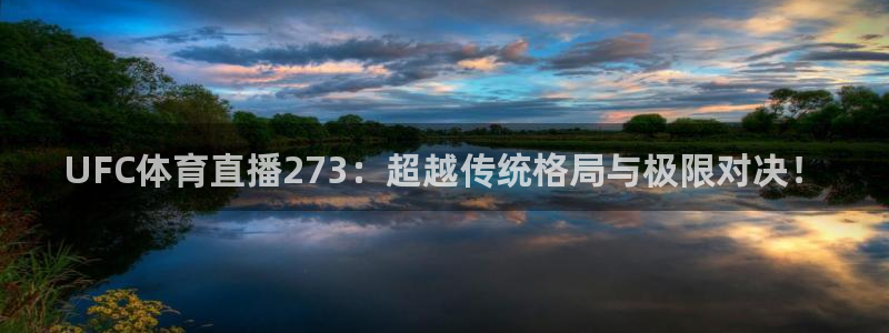 玩球直播app免费下载：UFC体育直播273：超越传统格局与极限对决！