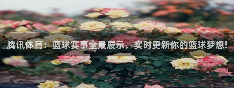 nba玩球直播手机在线直播：腾讯体育：篮球赛事全景展示，实时更新你的篮球梦想!