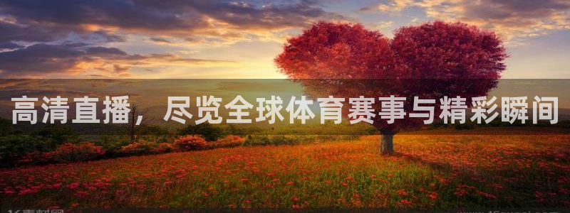 玩球直播nba体育直播：高清直播，尽览全球体育赛事与精彩瞬间
