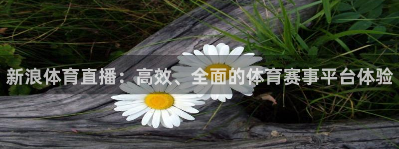 玩球怎么玩：新浪体育直播：高效、全面的体育赛事平台体验
