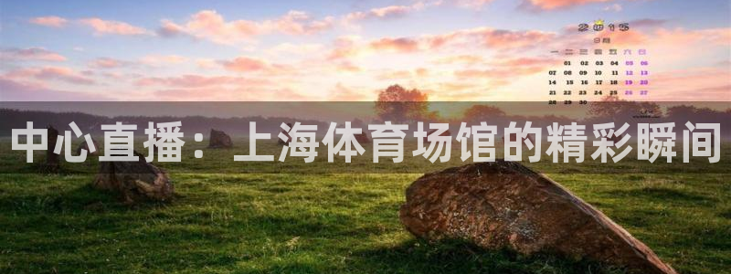 玩球吧直播：中心直播：上海体育场馆的精彩瞬间