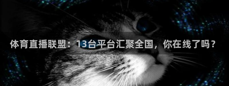 玩球直播在线观看免费观看：体育直播联盟：13台平台汇聚全国，你在线了吗？