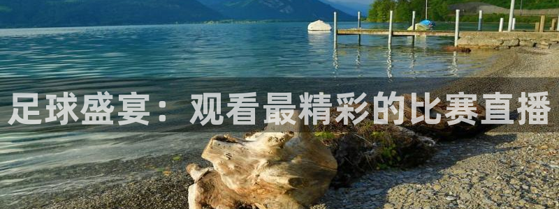 玩球nba直播：足球盛宴：观看最精彩的比赛直播