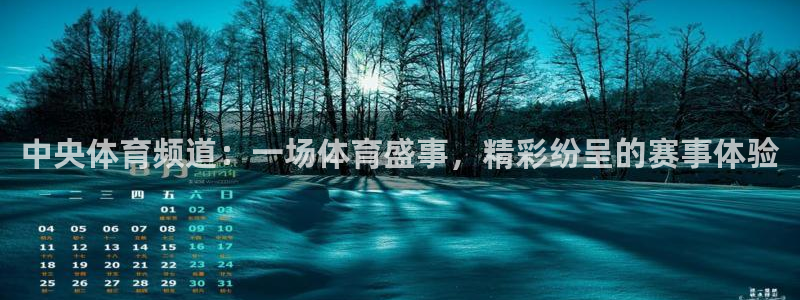 玩球直播免费高清在线：中央体育频道：一场体育盛事，精彩纷呈的赛事体验